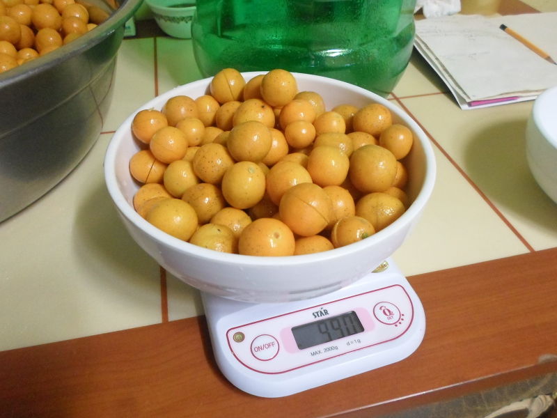 File:Kinkan fruit 1600 korea 2015.jpg